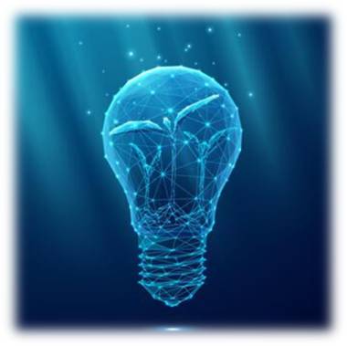 Chi siamo FLV Project